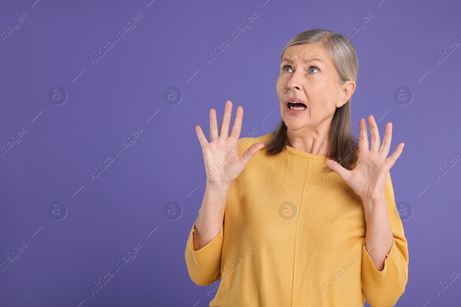 Photo of Portrait of surprised senior woman on violet background, space for text