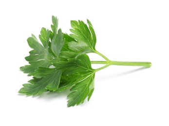 Leaves of fresh tasty parsley on white background