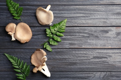 Flat lay composition with oyster mushrooms and leaves on wooden background, space for text