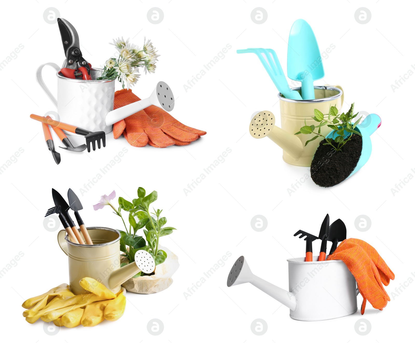 Image of Set with watering cans and different gardening tools on white background