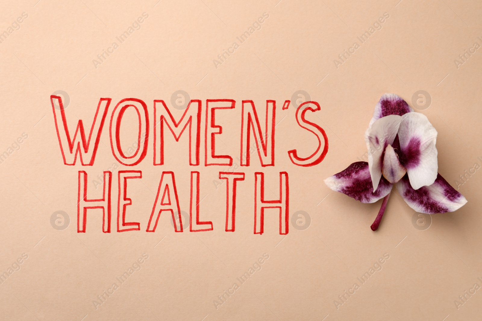 Photo of Orchid flower near text Women's Health on beige background, top view