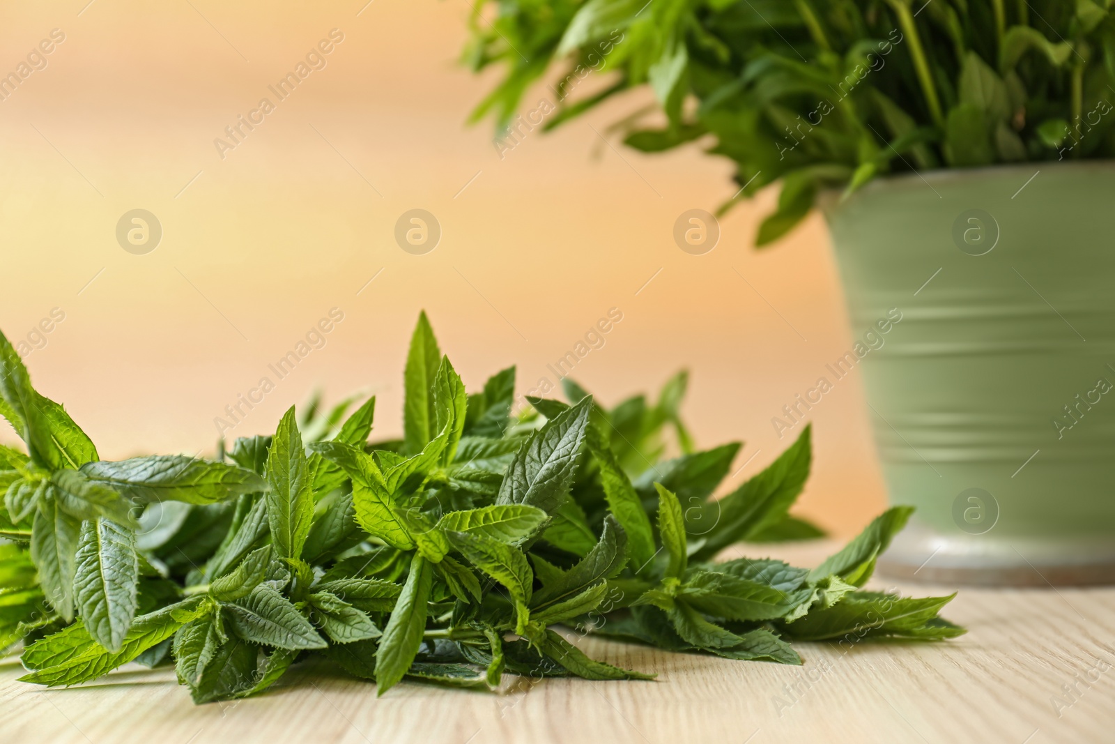Photo of Beautiful green mint on white wooden table, closeup