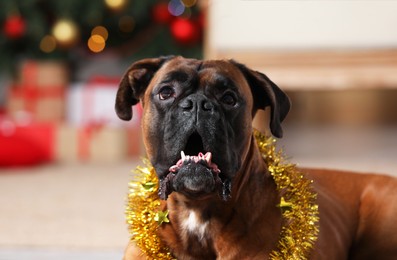 Photo of Cute dog with colorful tinsel at home, closeup. Space for text