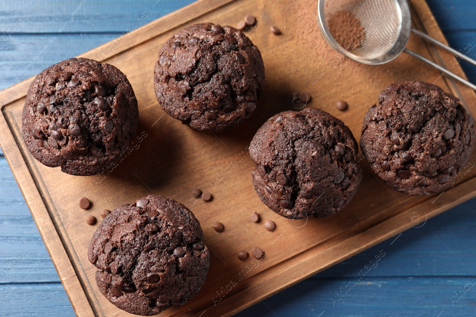 Photo of Delicious chocolate muffins and sieve with cocoa powder on blue wooden table, top view