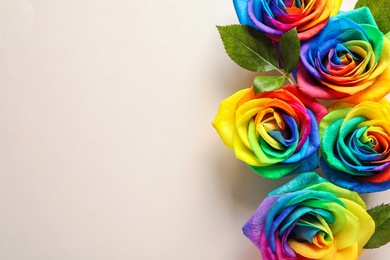 Photo of Rainbow rose flowers on color background, top view