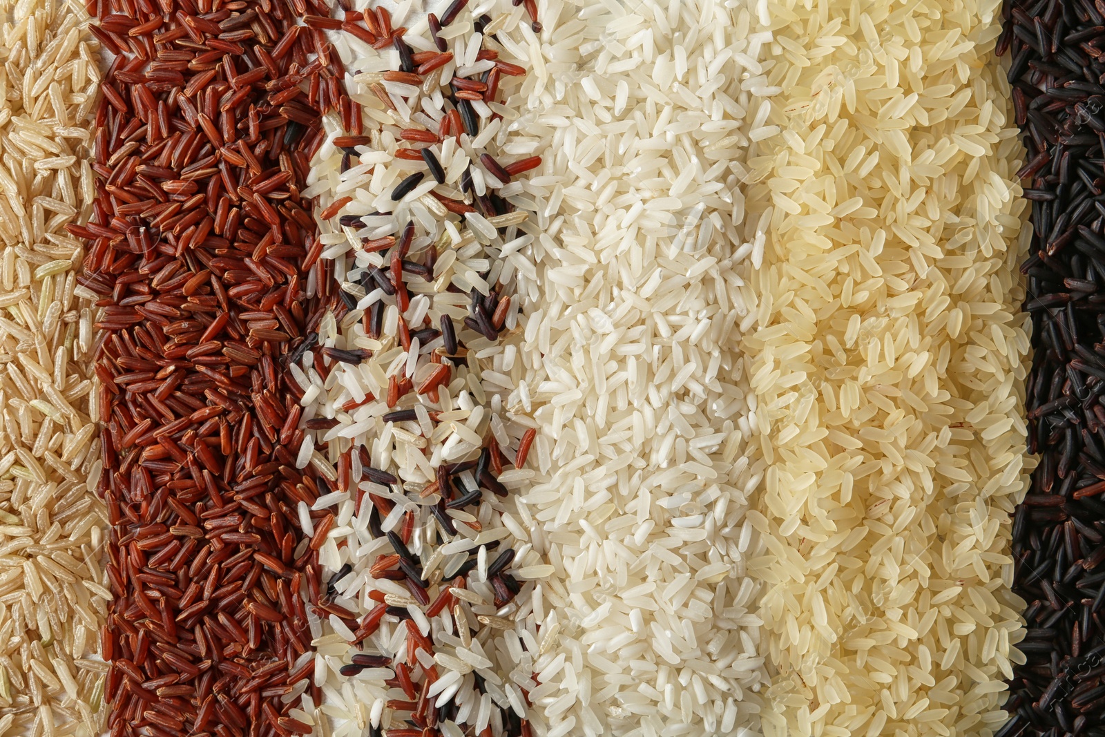 Photo of Brown and other types of rice as background, closeup