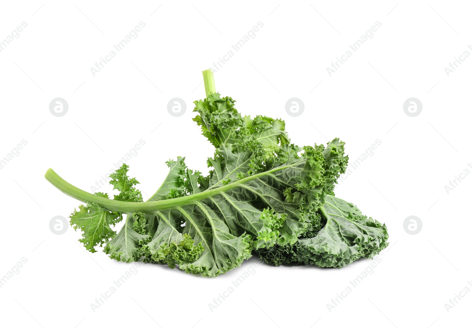 Photo of Fresh green kale leaves isolated on white