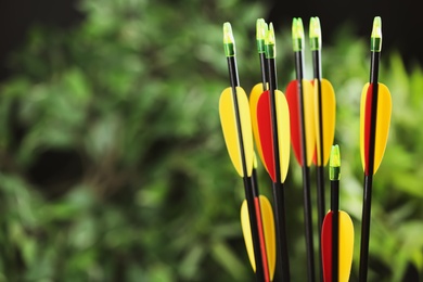 Photo of Plastic arrows on blurred background, space for text. Archery sports equipment