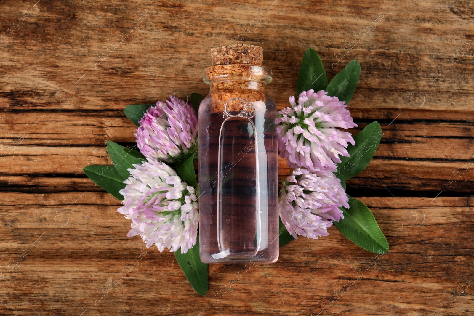 Photo of Beautiful clover flowers and essential oil on wooden table, flat lay