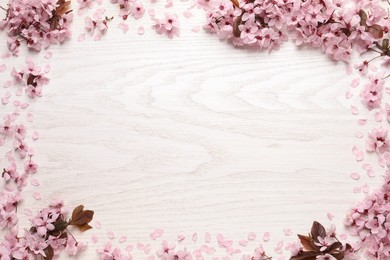 Frame of beautiful sakura tree blossoms on white wooden background, flat lay. Space for text