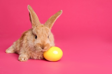 Adorable furry Easter bunny and dyed egg on color background, space for text