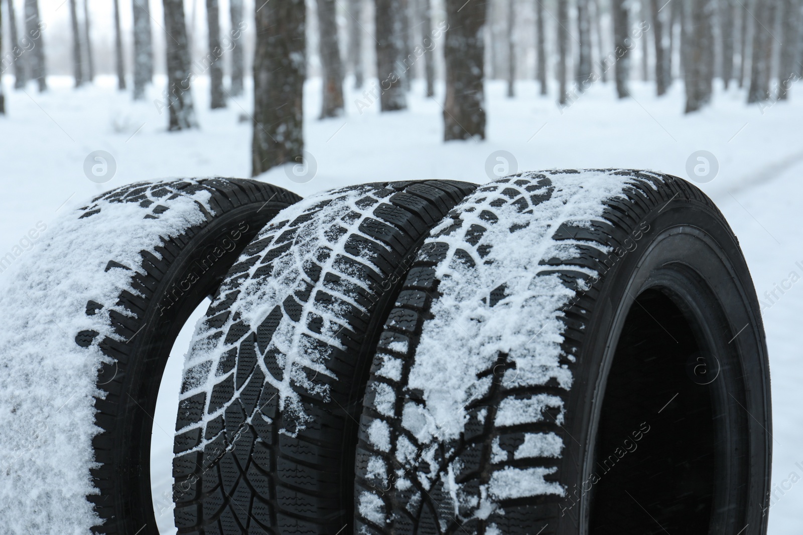 Photo of New winter tires covered with snow near forest, closeup