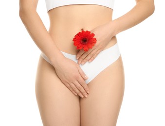 Gynecology. Woman in underwear with gerbera flower on white background, closeup