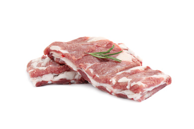 Raw ribs with rosemary on white background