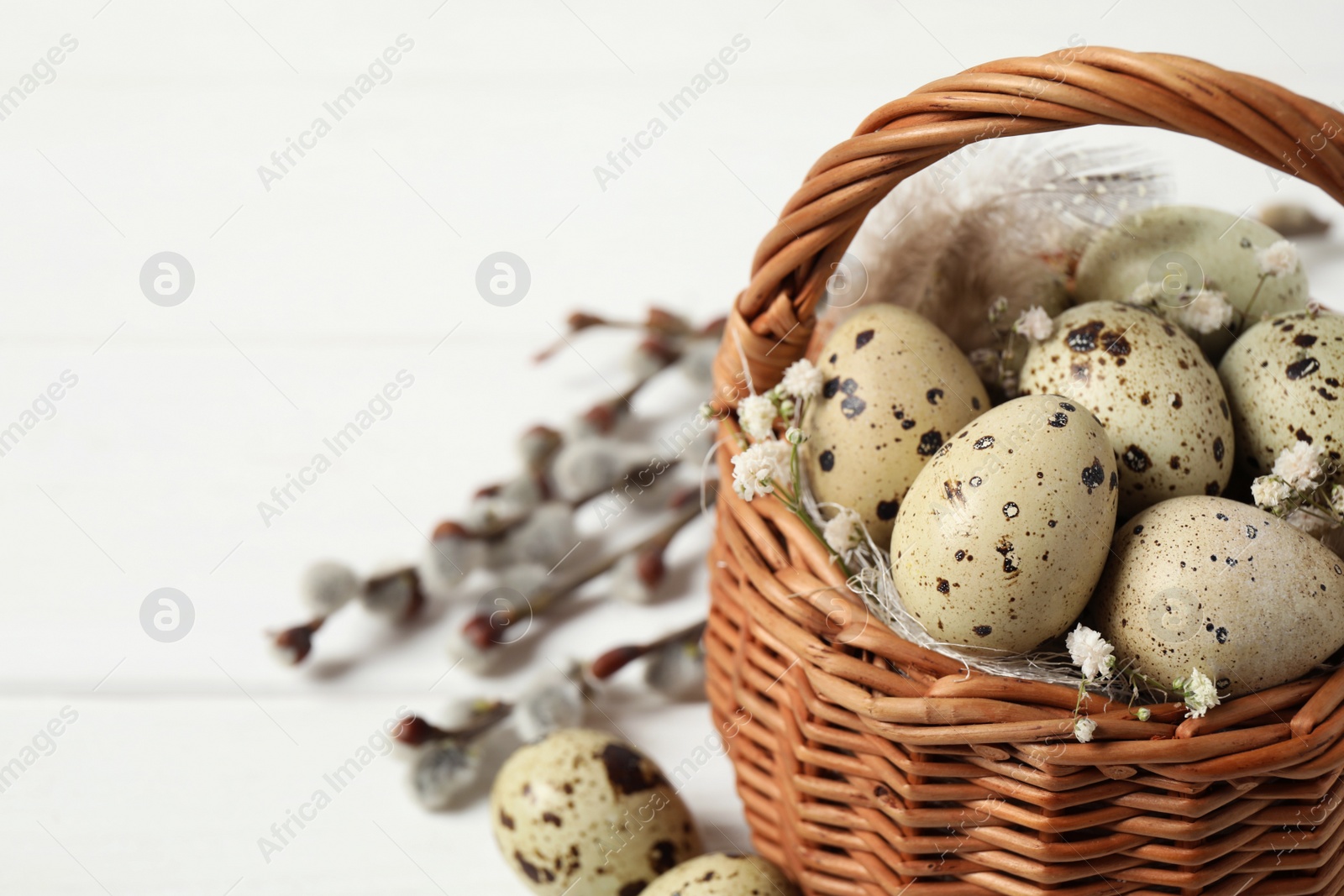 Photo of Closeup view of quail eggs and flowers in wicker basket on white table, space for text. Easter celebration