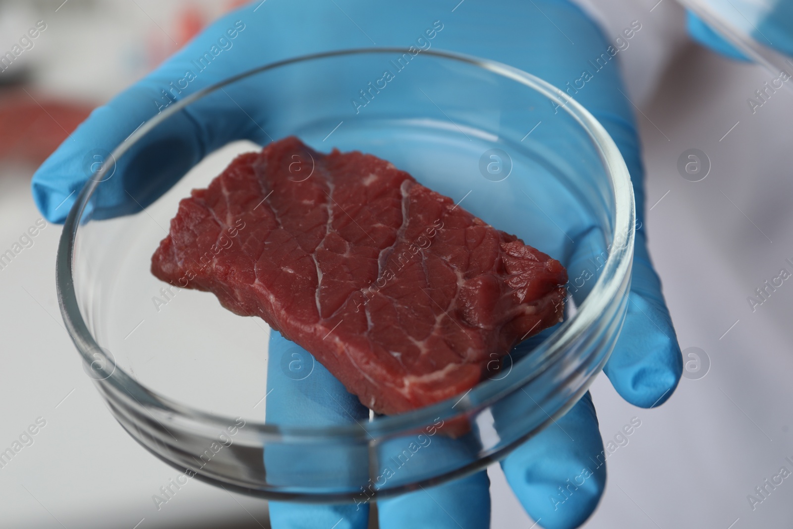 Photo of Scientist holding Petri dish with cultured meat in laboratory, closeup