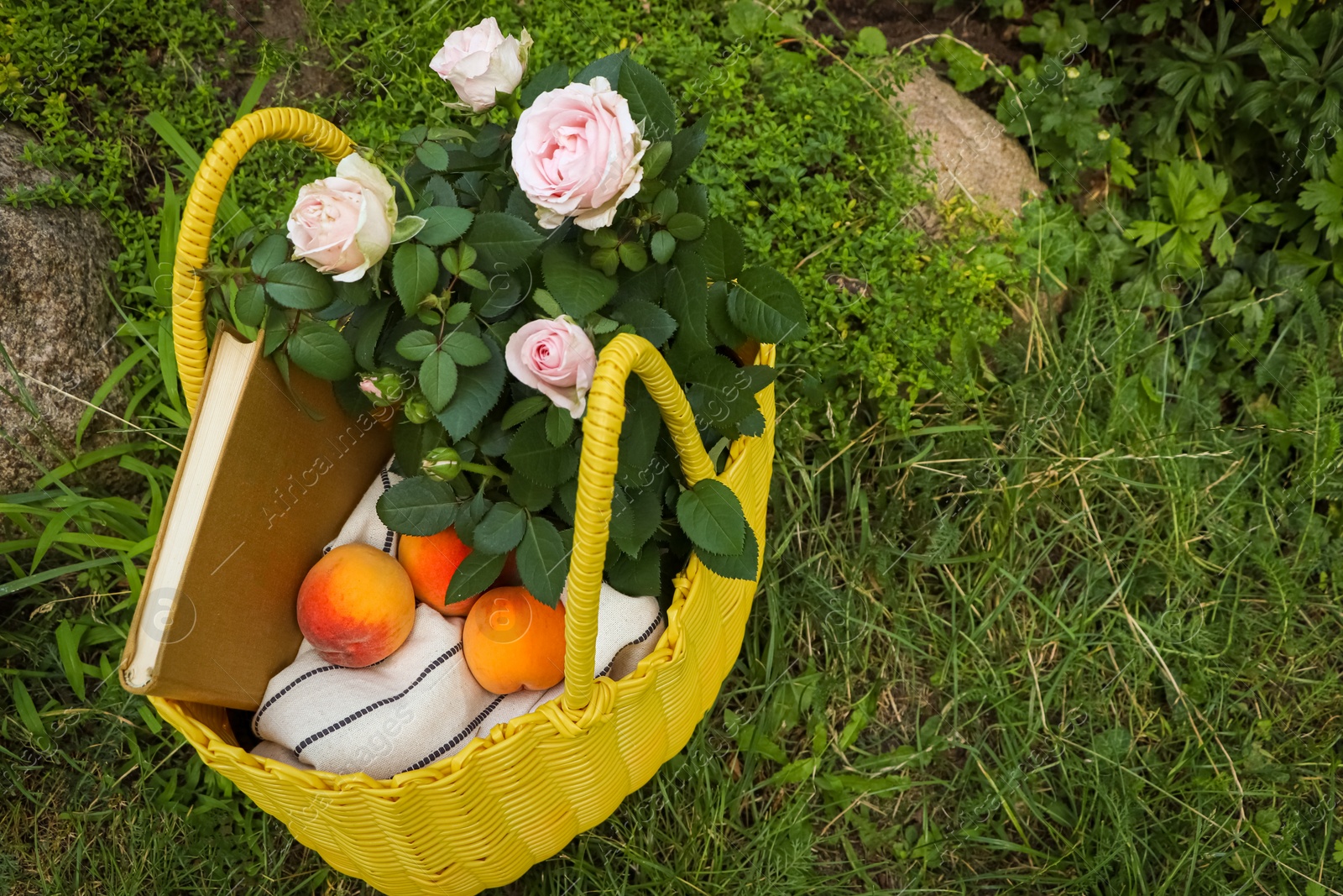 Photo of Yellow wicker bag with roses, book and peaches on green grass outdoors, above view