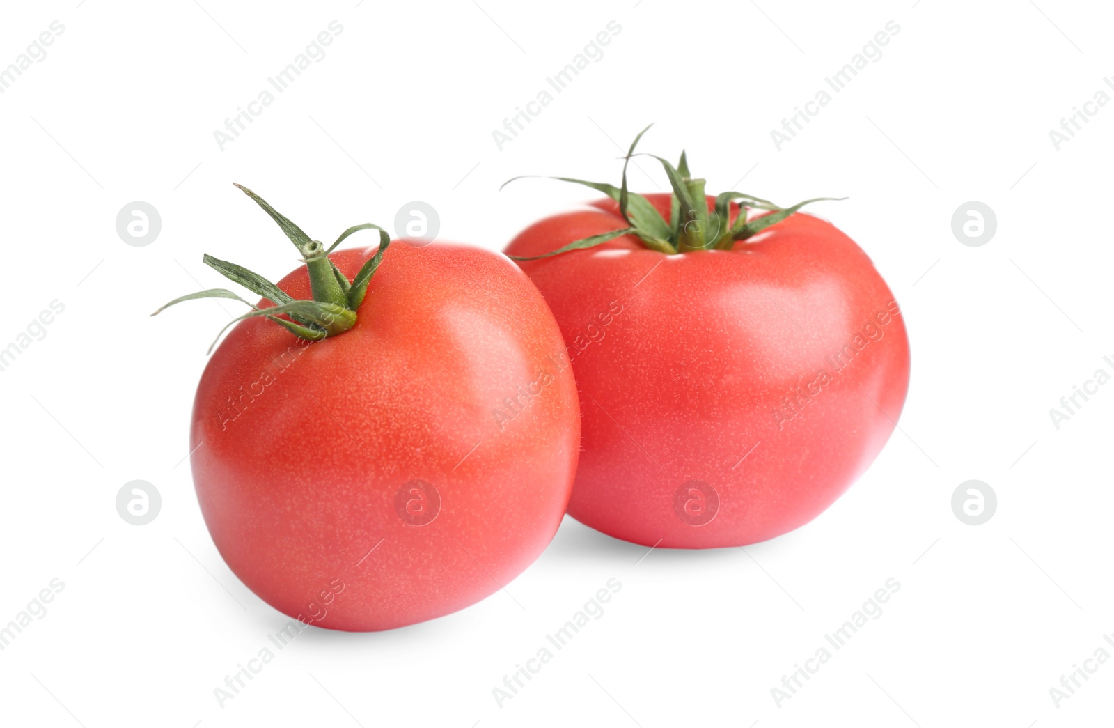 Photo of Fresh ripe organic tomatoes isolated on white