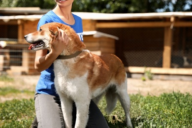 Photo of Woman with homeless dog in animal shelter, space for text. Concept of volunteering