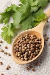 Spoon with dried coriander seeds and green leaves on light cloth, above view