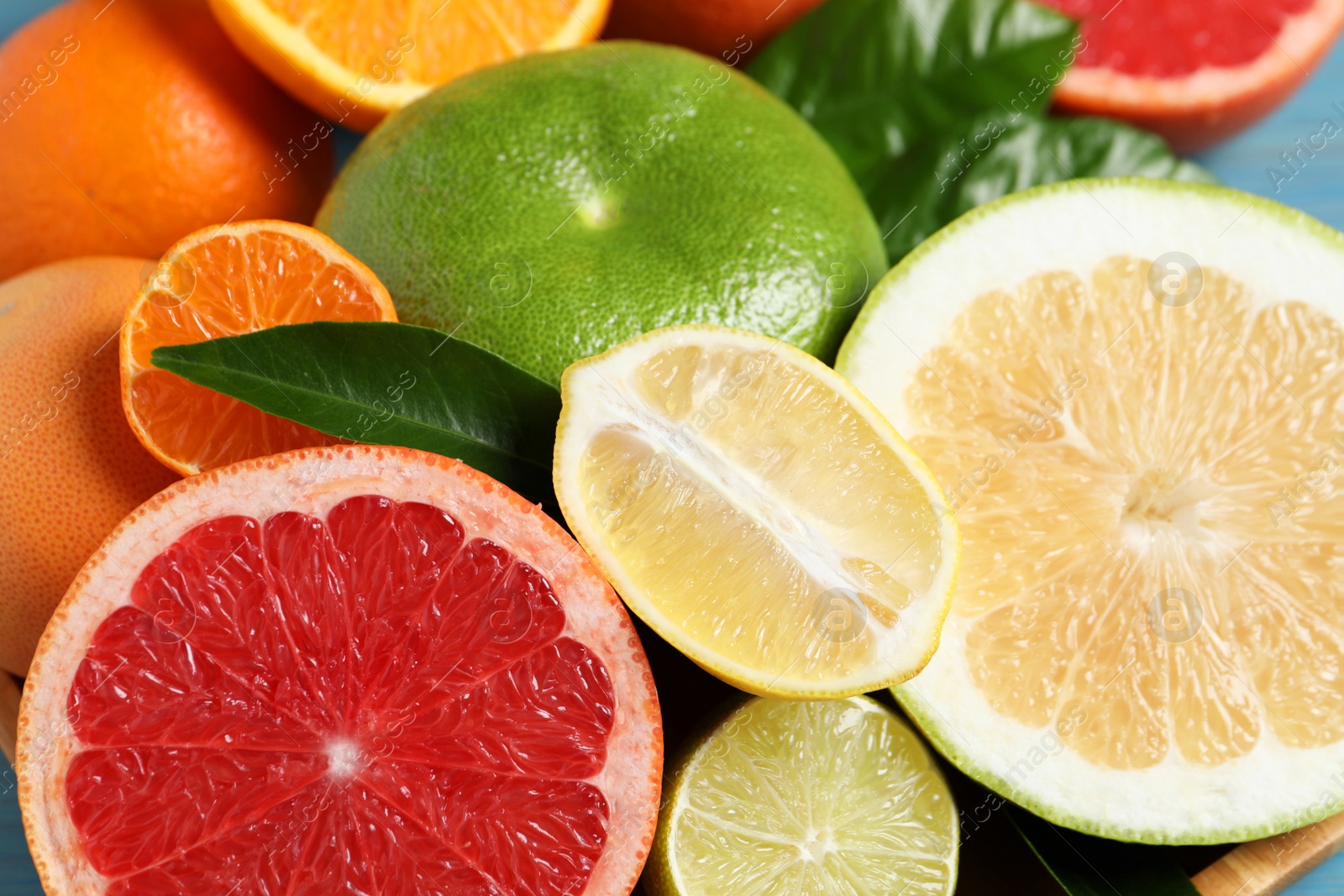 Photo of Different citrus fruits with fresh leaves, closeup