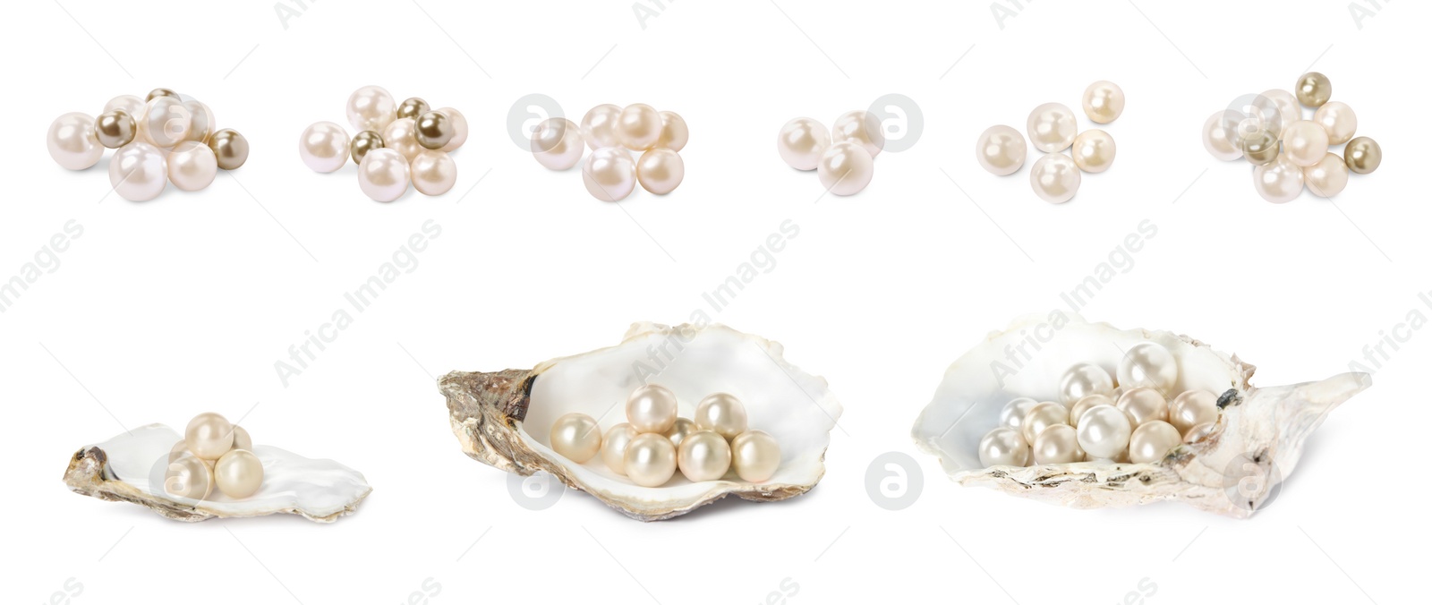 Image of Set with beautiful pearls and oyster shells on white background. Banner design
