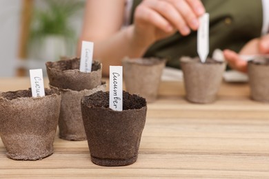 Photo of Woman inserting cards with names of vegetable seeds at table indoors, focus on peat pots. Space for text