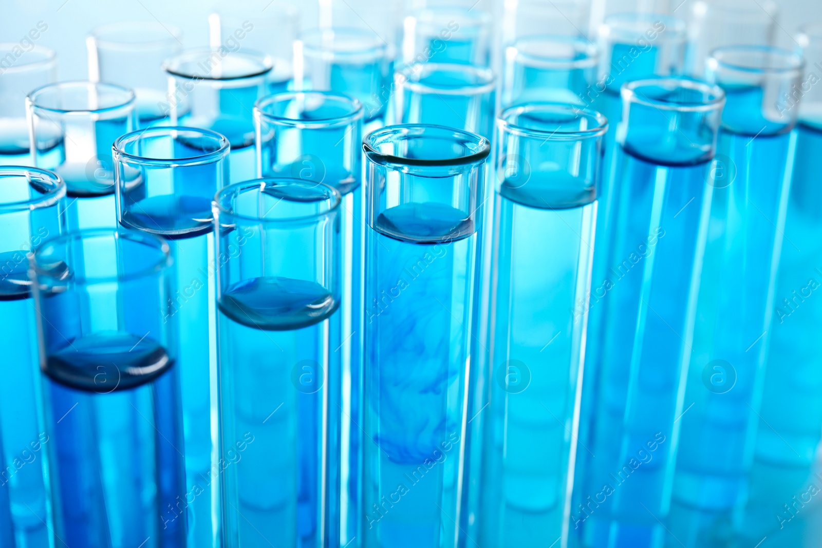 Photo of Many test tubes with blue liquid, closeup