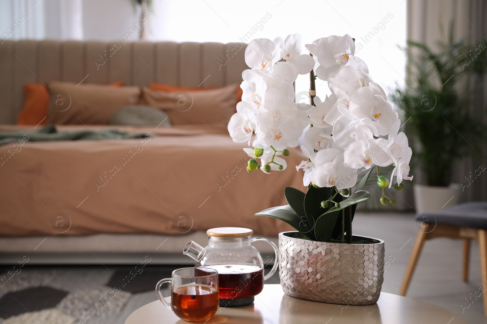 Photo of Beautiful white orchids and tea set on table in bedroom, space for text. Interior design