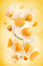 Image of Ripe orange physalis fruits with calyx falling on yellow gradient background