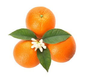 Fresh ripe oranges with green leaves and flower on white background, top view