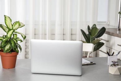 Photo of Office interior with houseplants and laptop on table