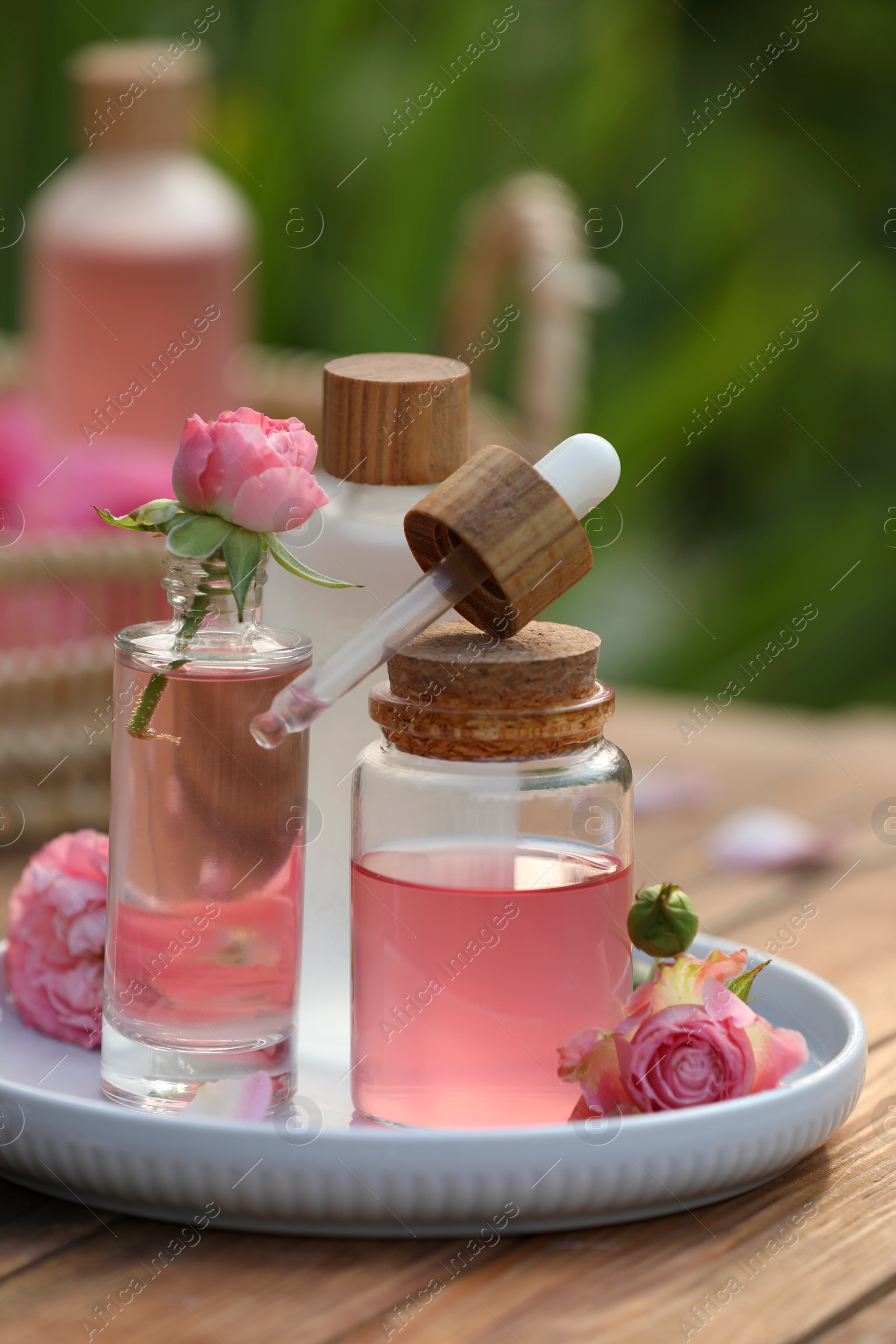 Photo of Bottles of rose essential oil and flowers on wooden table outdoors, closeup