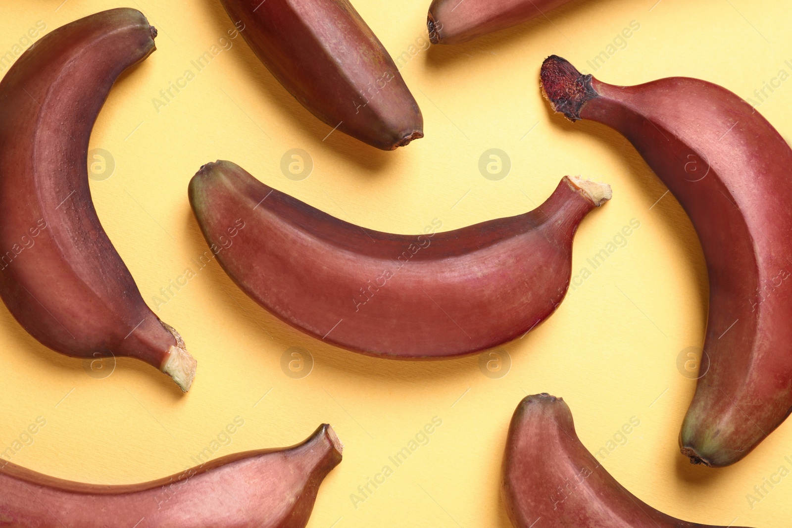 Photo of Tasty red baby bananas on yellow background, flat lay