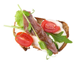 Delicious bruschetta with anchovies, tomato, microgreens and cream cheese on white background, top view