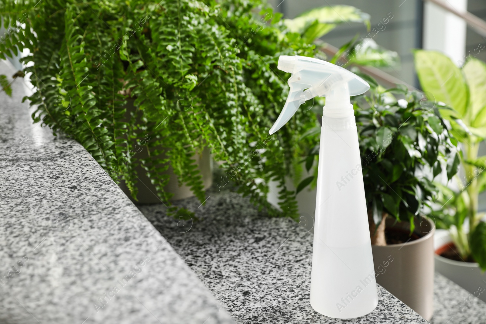 Photo of Spray bottle and home plants on stairs indoors