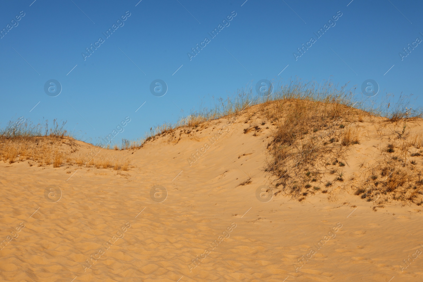 Photo of Picturesque view of desert on sunny day