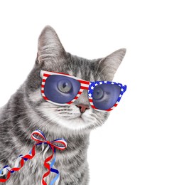 Image of Cute cat with sunglasses and bow on white background. Concept of federal holidays in USA