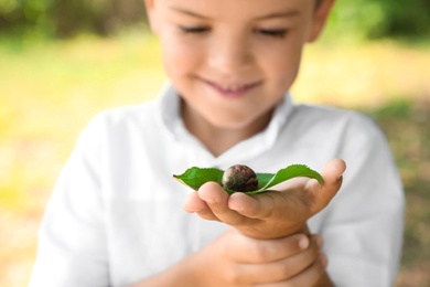 Photo of Boy playing with cute snail outdoors, focus on hand. Child spending time in nature