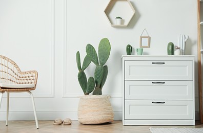 Photo of Stylish room interior with beautiful potted cactus and chest of drawers
