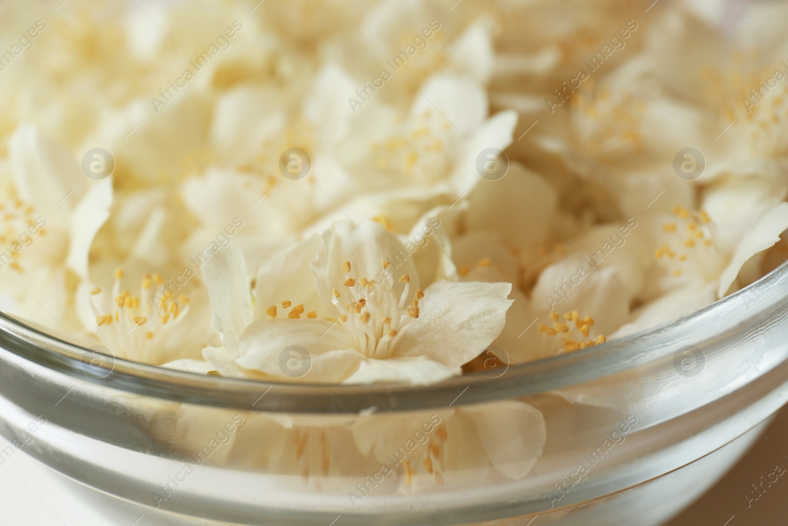 Photo of Beautiful white jasmine flowers in glass bowl, closeup