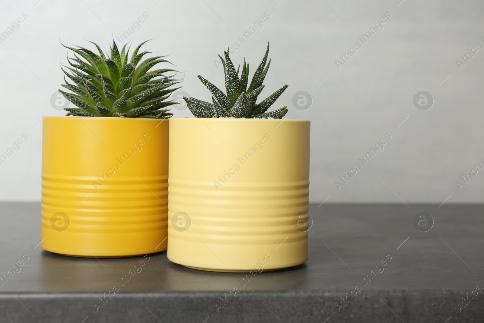 Photo of Houseplants in yellow tin cans on grey stone table
