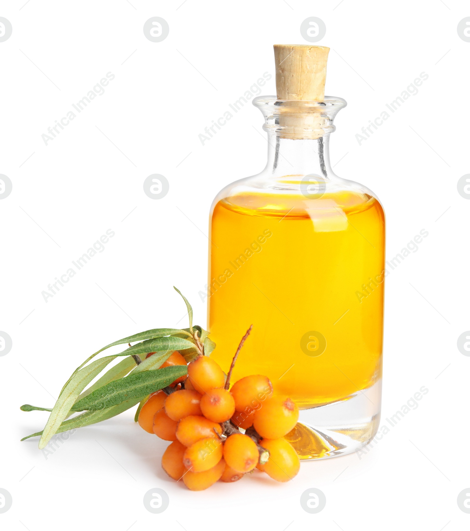 Photo of Natural sea buckthorn oil and fresh berries on white background