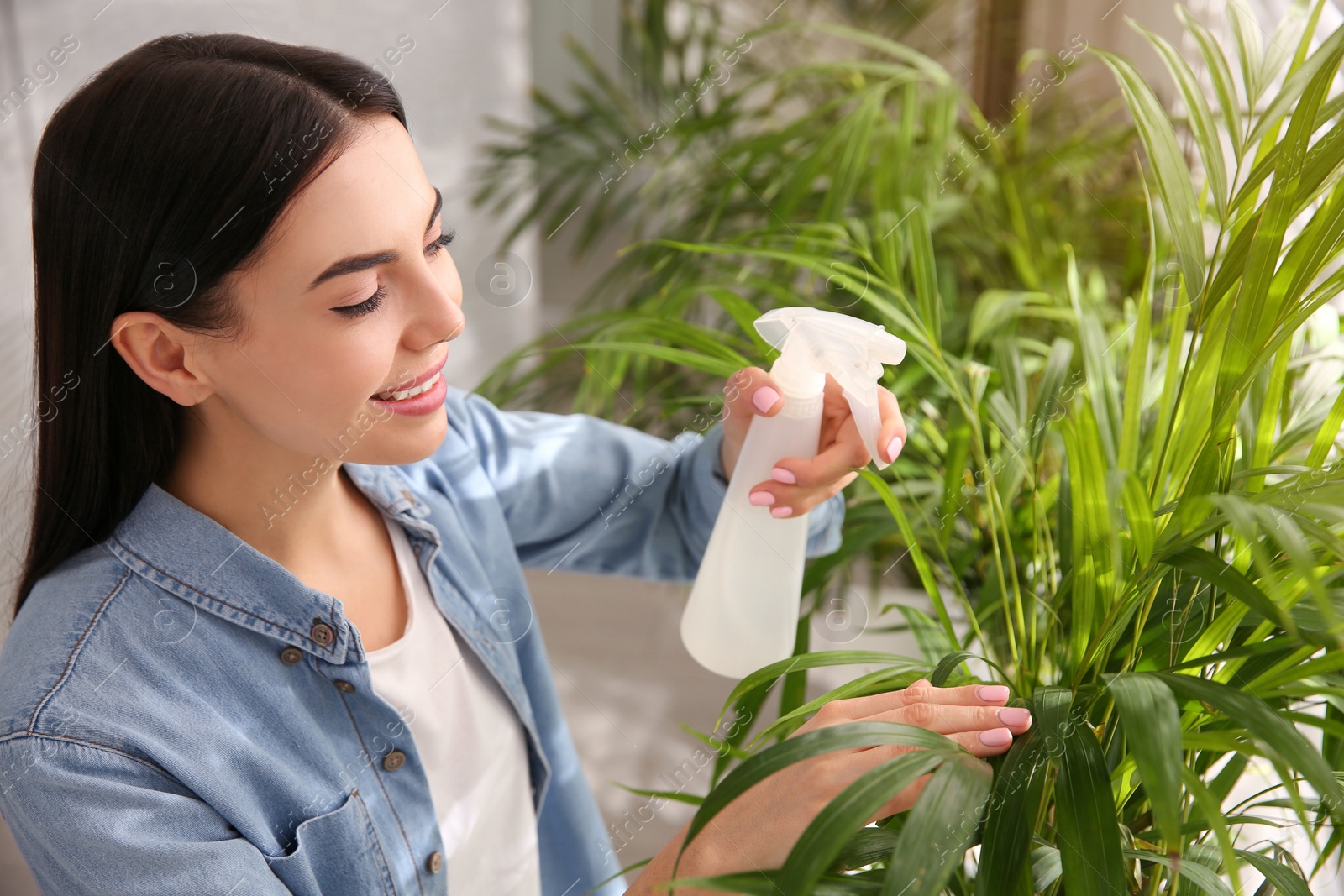 Photo of Woman spraying leaves of house plants indoors