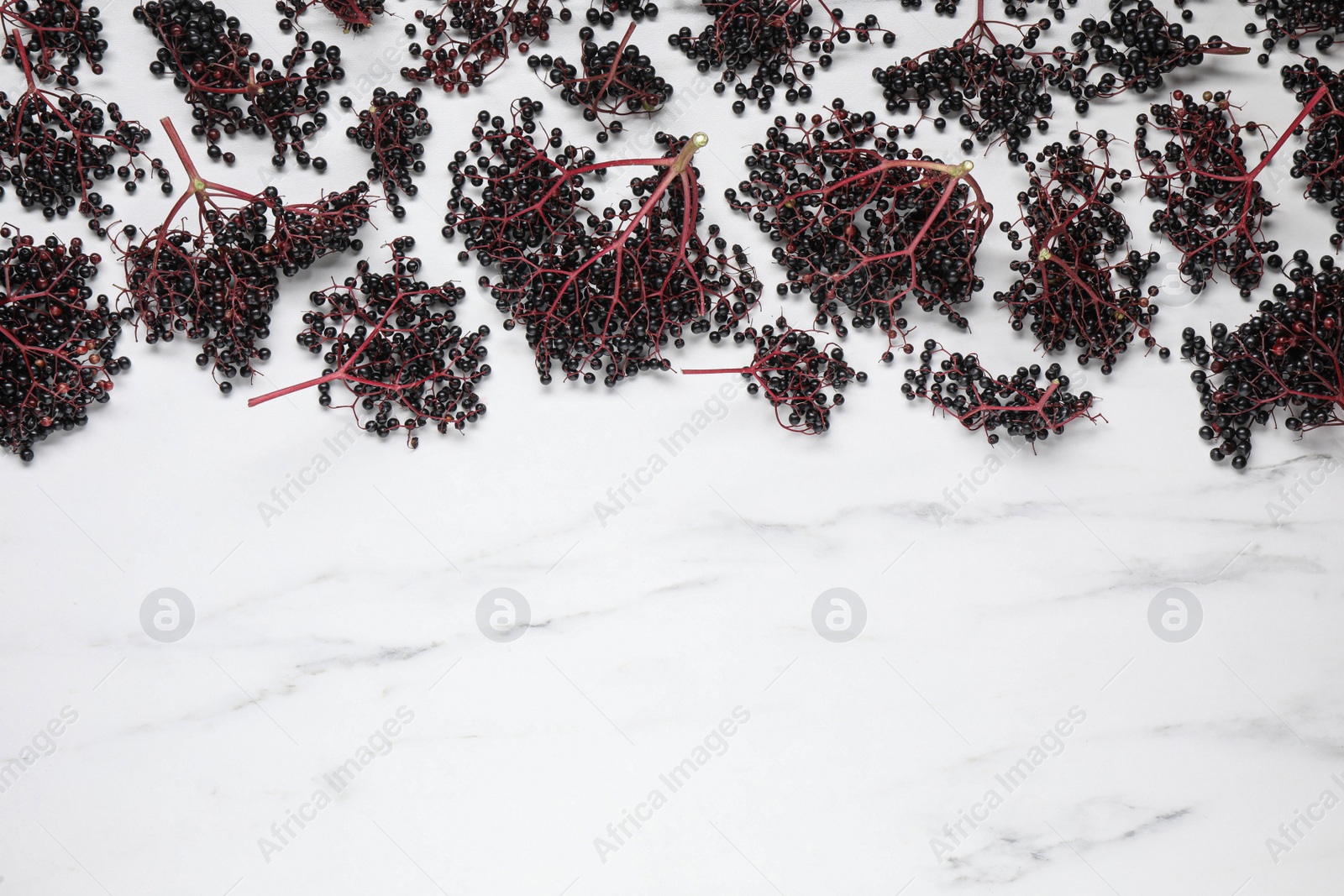 Photo of Bunches of ripe elderberries on white marble table, flat lay. Space for text