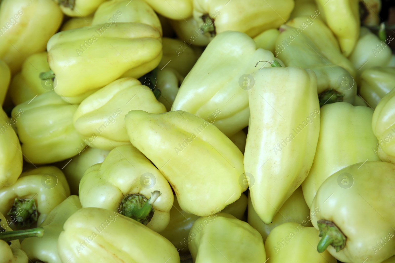 Photo of Pile of fresh ripe bell peppers as background, closeup