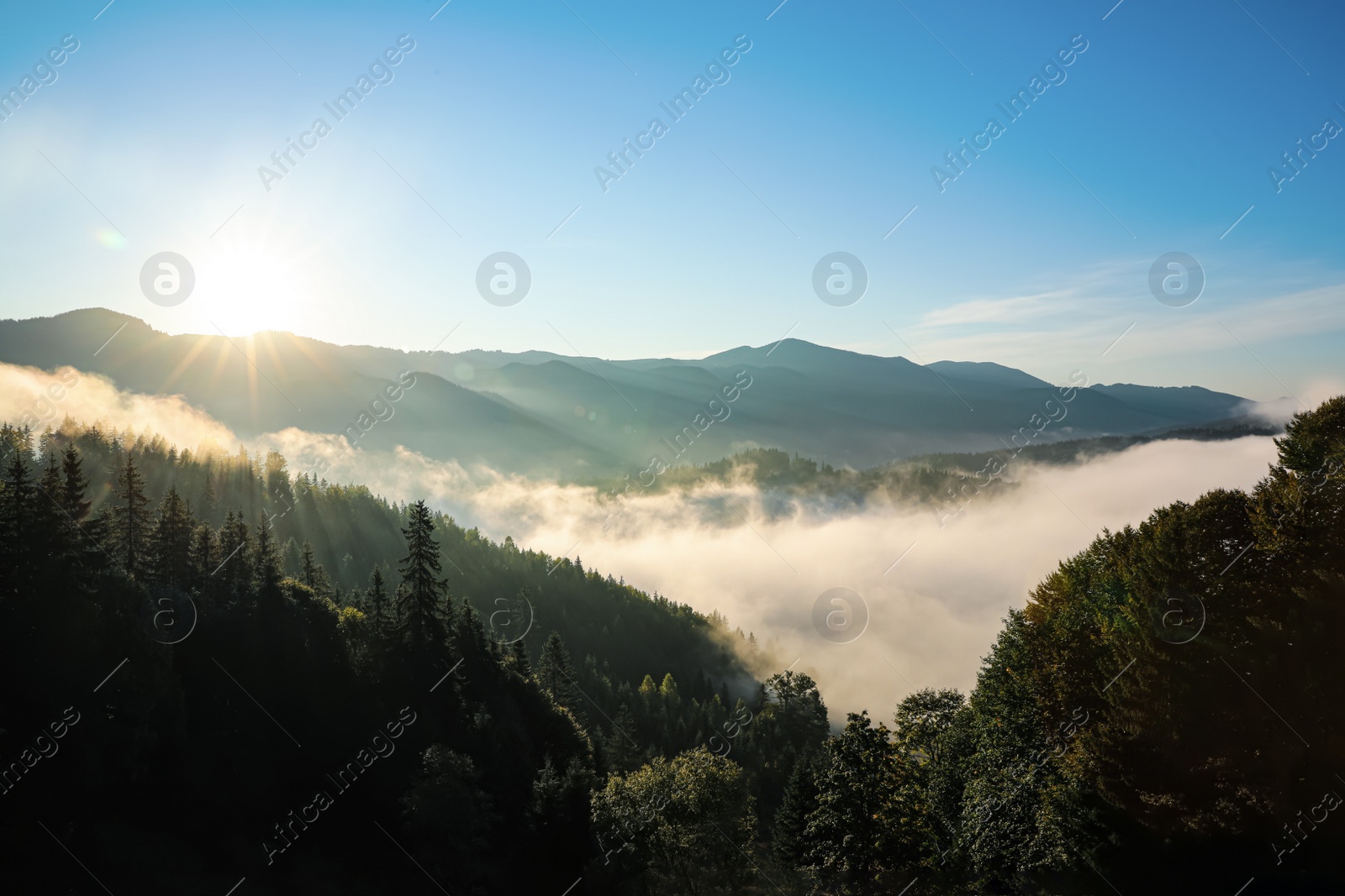 Photo of Beautiful view of mountains covered with fog at sunrise