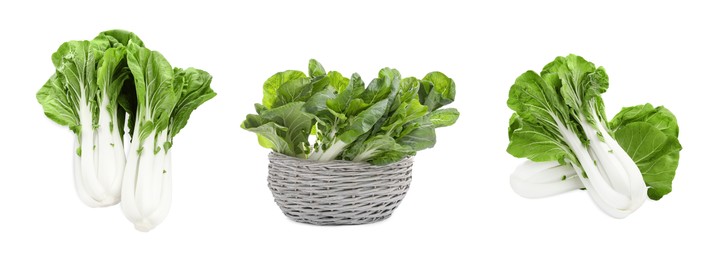 Image of Collage with fresh pak choy cabbages on white background