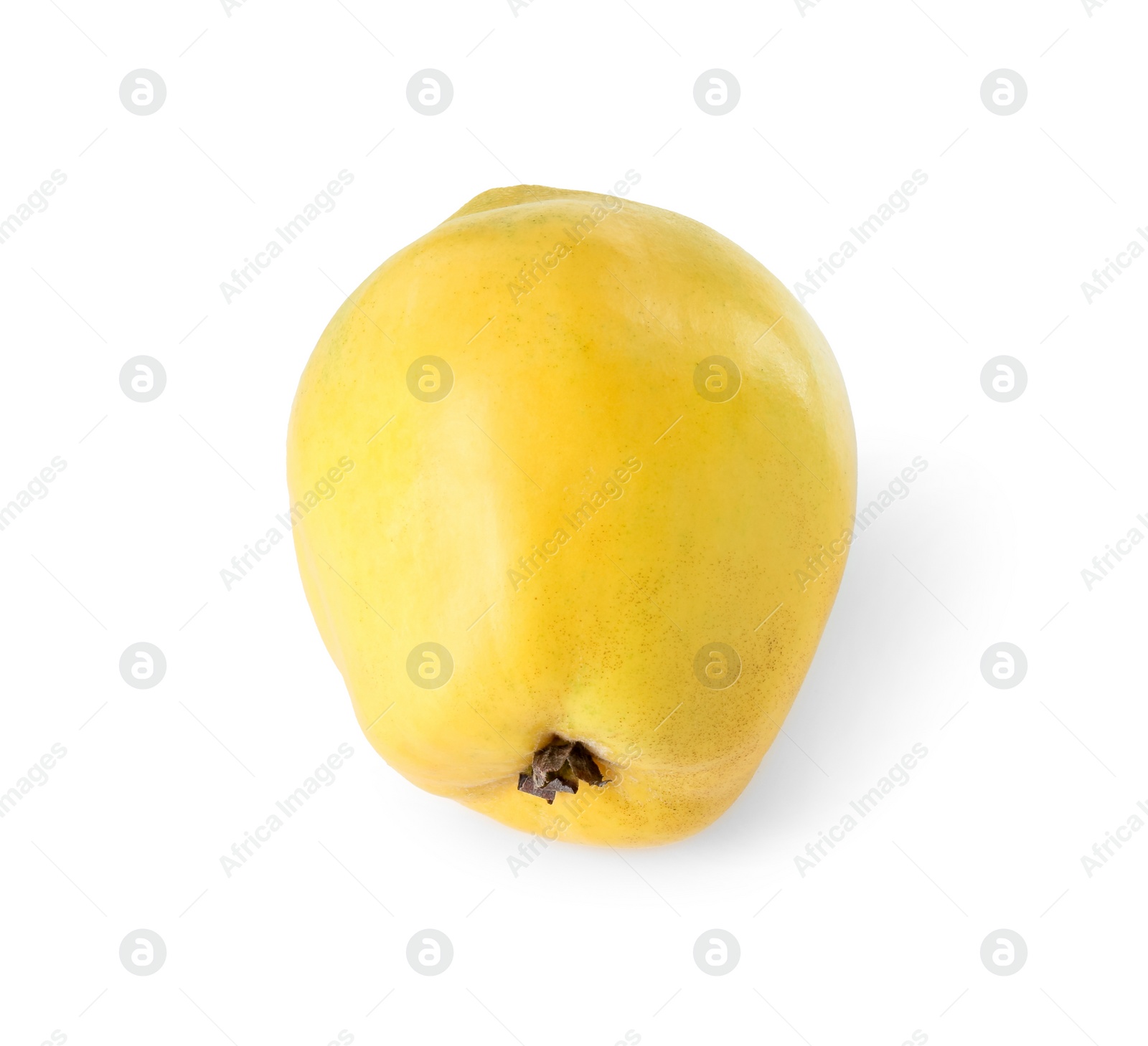 Photo of Delicious fresh ripe quince isolated on white