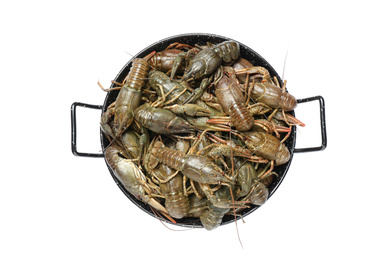 Photo of Fresh raw crayfishes isolated on white, top view. Healthy seafood